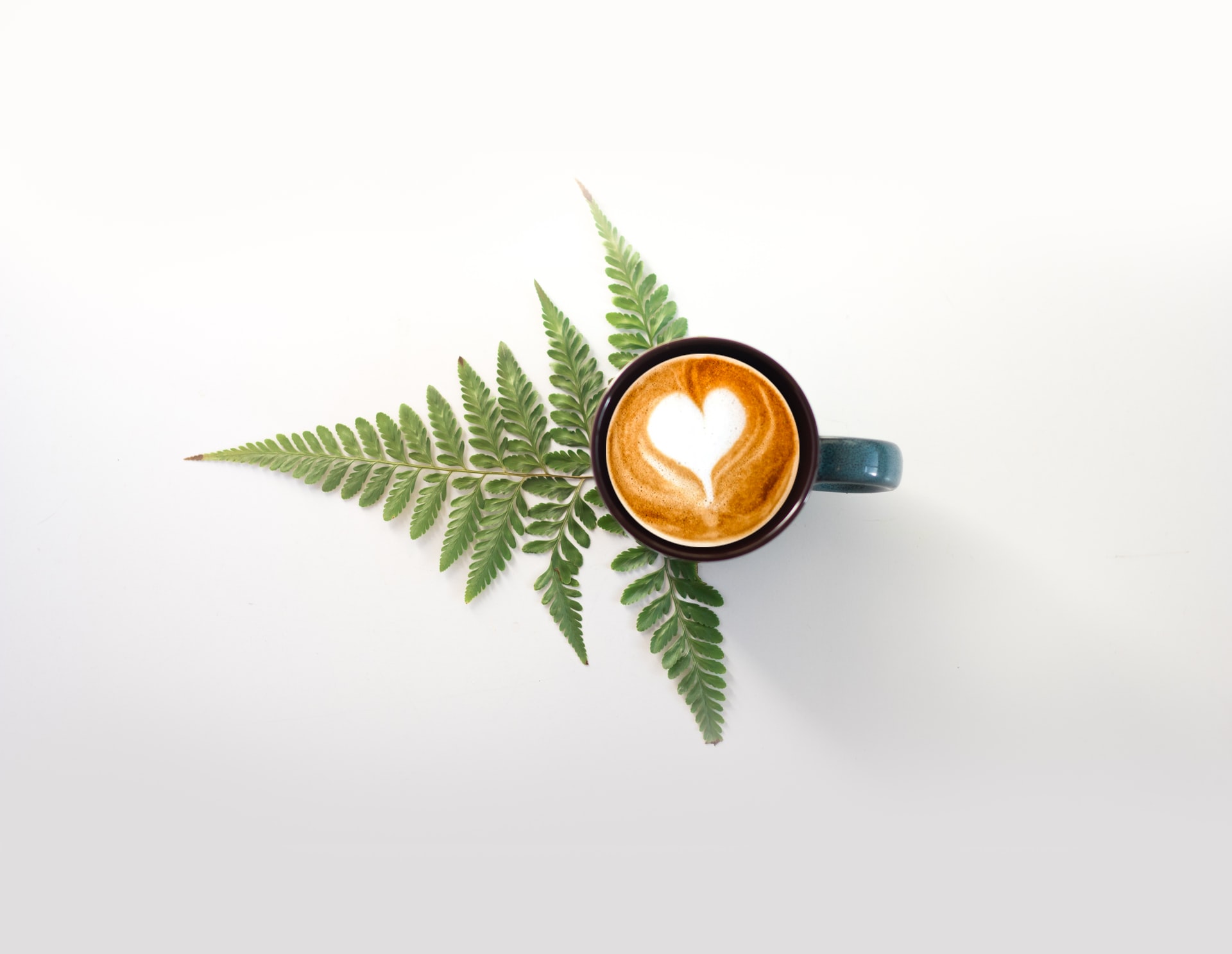 latte in blue mug on fern leaf with white background, brew delicious coffee