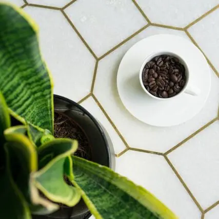 white mug of coffee beans on white tile beside plant, can you eat coffee beans
