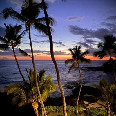 Best Kona Coffee: 2026 Top Picks (Plus How To Spot A Scam) 3 best kona coffee