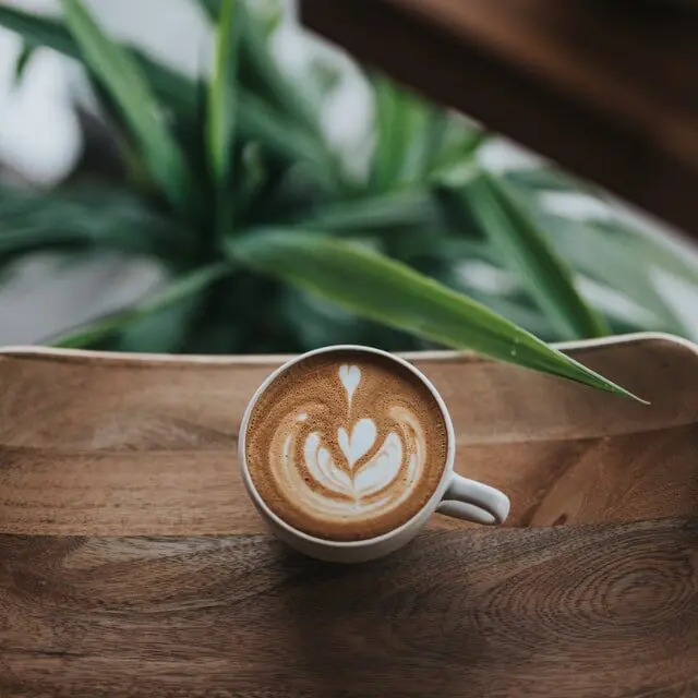 flat white coffee on edge of wood table with plants beneath
Type of espresso drink
Espresso drink types
flat white
