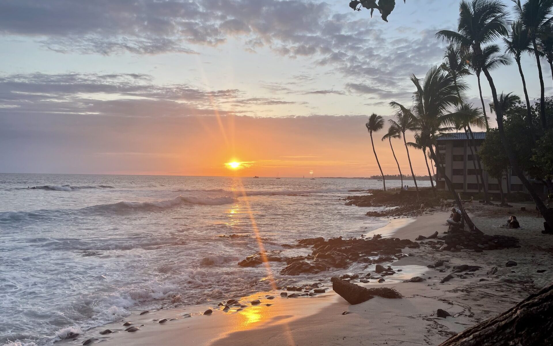 sunset from a beach in kona with palm trees blowing, best kona coffee, best kona coffee brands, kona sunset