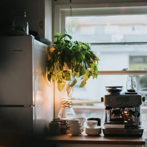 Coffee bar with plant hanging above, best grind and brew coffee maker