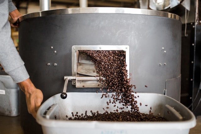 roasted coffee beans pouring from coffee roaster into plastic bin