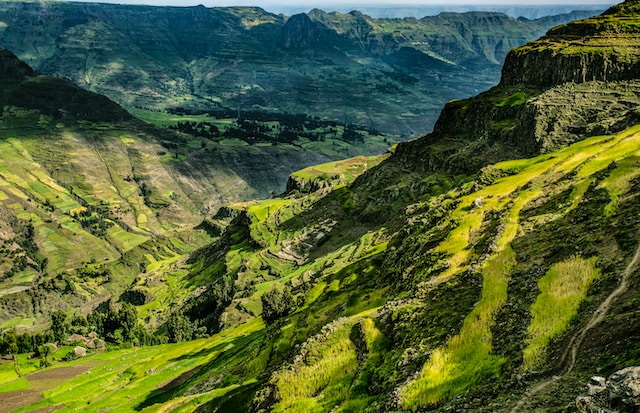 bright green Ethiopian mountainside 