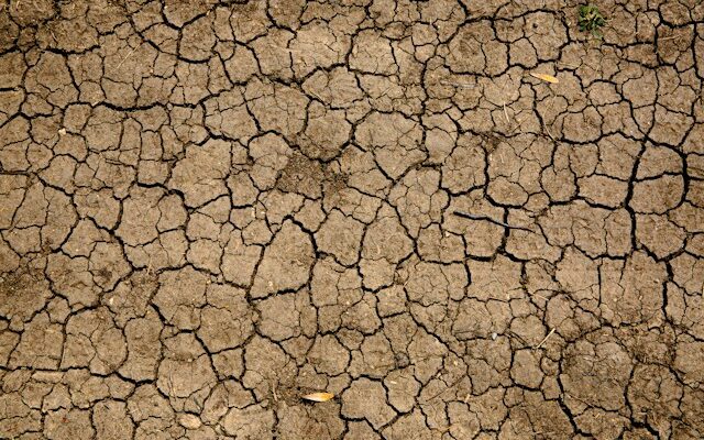 Climate Change And Coffee: Brewing Up Uncertainty 1 dry land with cracks